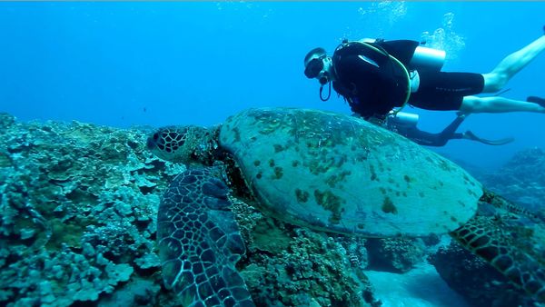 Planeta asombroso - Awesome Hawaii