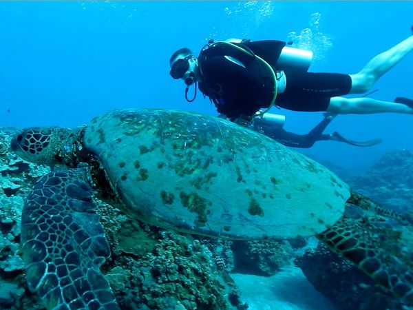 Planeta asombroso - Awesome Hawaii
