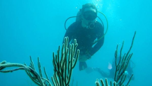 Planeta asombroso - Ocean Exploration