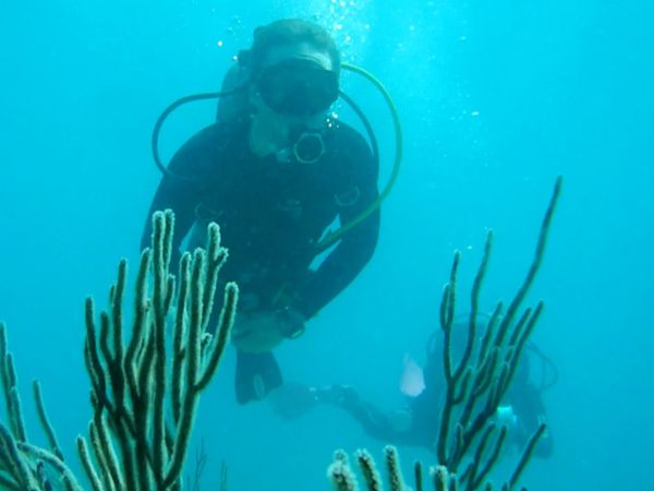 Planeta asombroso - Ocean Exploration