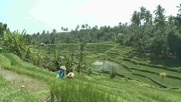 Découvertes du monde - Bali
