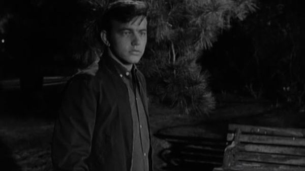 Peter Gunn - The Young Assassins