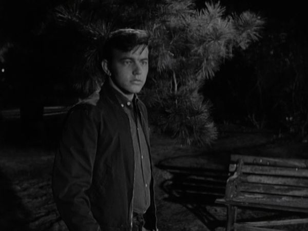 Peter Gunn - The Young Assassins