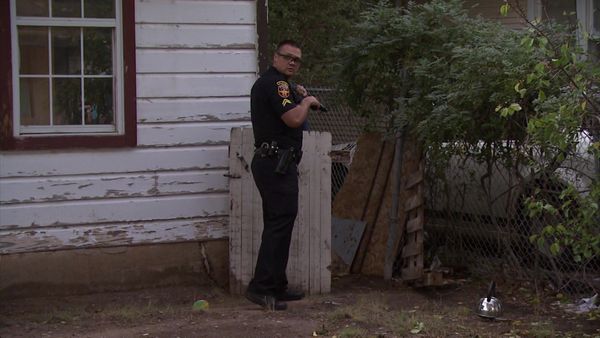 COPS - Any Way You Slice It