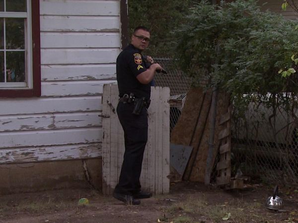 COPS - Any Way You Slice It