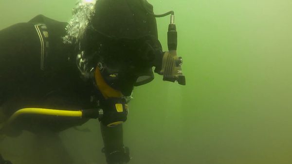 Gold Fever - Kia Under the Bering Sea