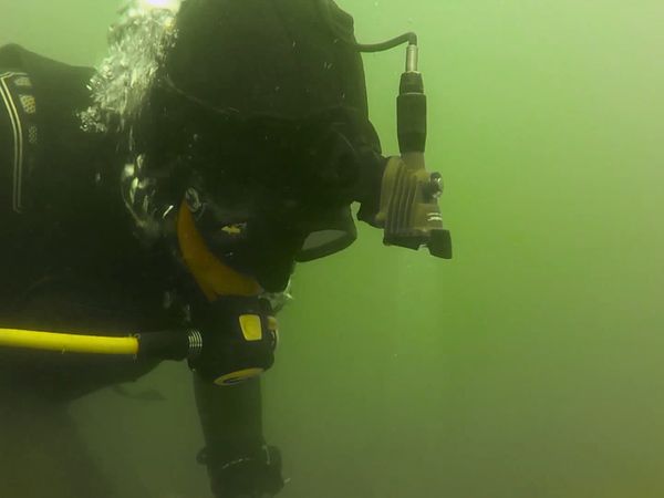 Gold Fever - Kia Under the Bering Sea