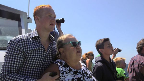 Hollywood Hillbillies - Whale Watching