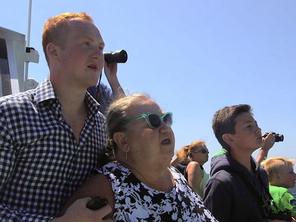 Hollywood Hillbillies - Whale Watching