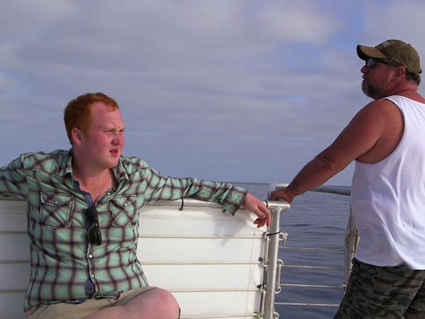 Hollywood Hillbillies - The Island Adventure