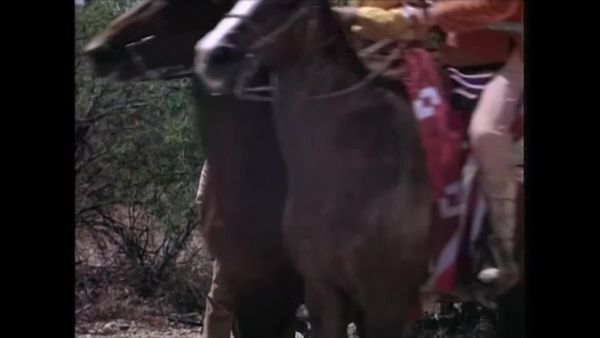 Chaparral - Os Assassinos