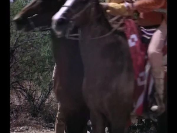 Chaparral - Os Assassinos