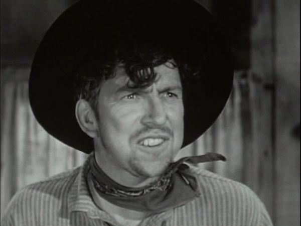 Stories of the Century - The Wild Bunch