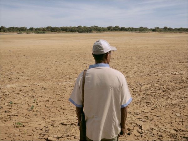 Sangue da Terra - Vazante presente