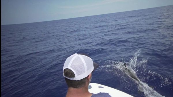 Chasin' The Sun - Beach Red Tarpon