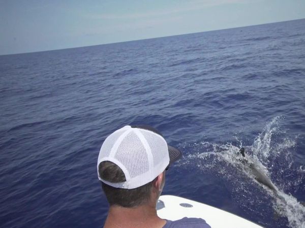 Chasin' The Sun - Beach Red Tarpon