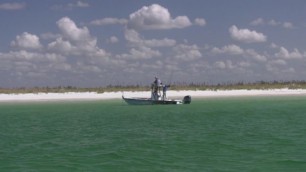 Chasin' The Sun - One Boat, Many Fish