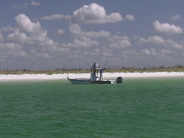 Chasin' The Sun - One Boat, Many Fish