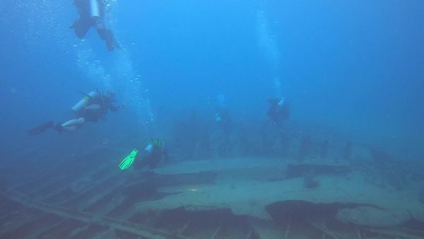Chasin' The Sun - Dive Dive Fish