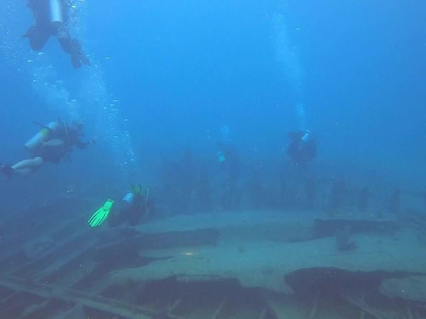 Chasin' The Sun - Dive Dive Fish