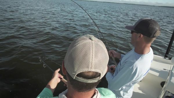 Chasin' The Sun - Jacks Be Boiling