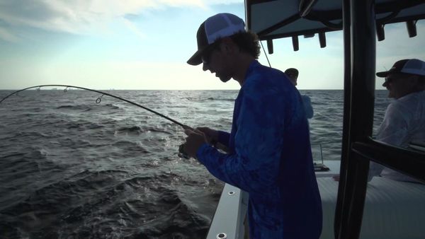 Chasin' The Sun - A Fish Too Farr
