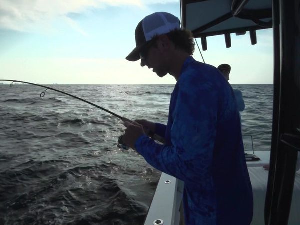Chasin' The Sun - A Fish Too Farr