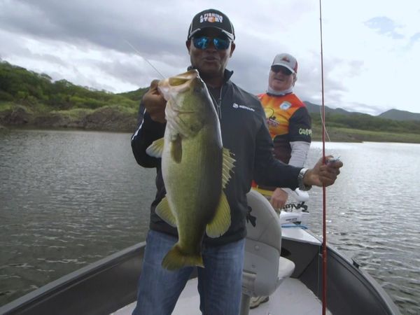 A Fishing Story with Ronnie Green - Megastrike