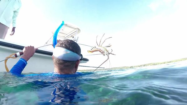 Silver Kings - Bahamas Bonefish Part 2