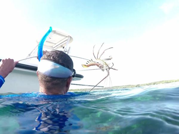 Silver Kings - Bahamas Bonefish Part 2