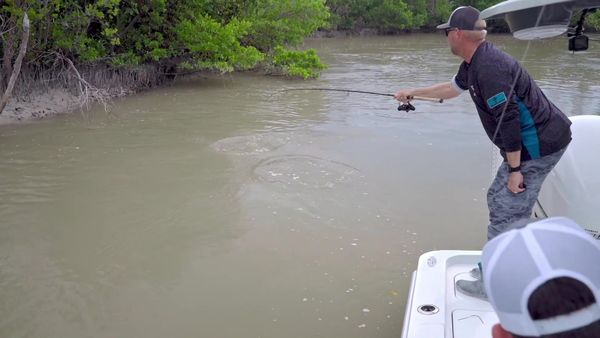 The Fish Guyz - A Little Help from My Friends”