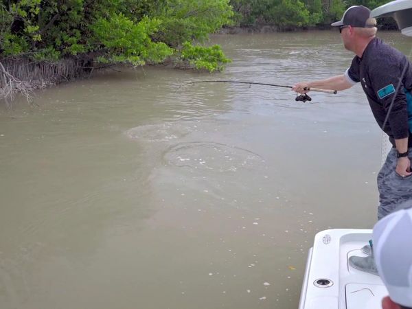The Fish Guyz - A Little Help from My Friends”