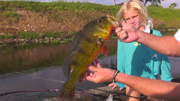 Hooked on the Palm Beaches - BASS & EXOTICS