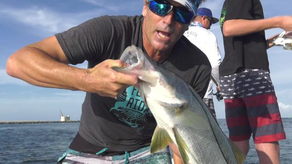 Hooked on the Palm Beaches - PALM BEACH INLET SNOOK