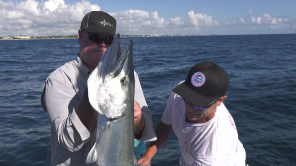 Hooked on the Palm Beaches - NO FENCES IN THE OCEAN