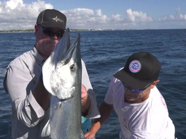 Hooked on the Palm Beaches - NO FENCES IN THE OCEAN