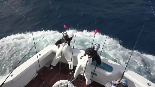 Hooked on the Palm Beaches - SILVER SAILFISH DERBY