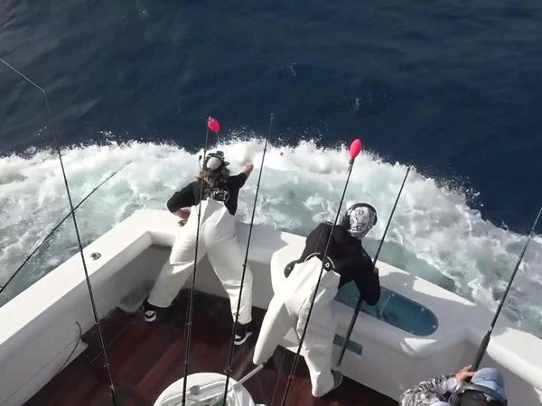 Hooked on the Palm Beaches - SILVER SAILFISH DERBY