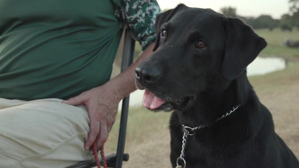 The Super Retriever Series Crown Championship - Super Retriever Series Crown Championship Amateur Finals - 2