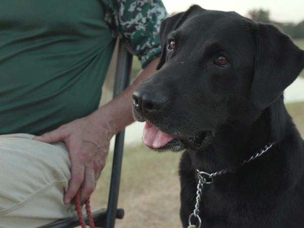 The Super Retriever Series Crown Championship - Super Retriever Series Crown Championship Amateur Finals - 2