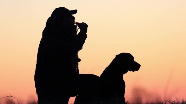 The Super Retriever Series Crown Championship - SRS Crown Championship 2