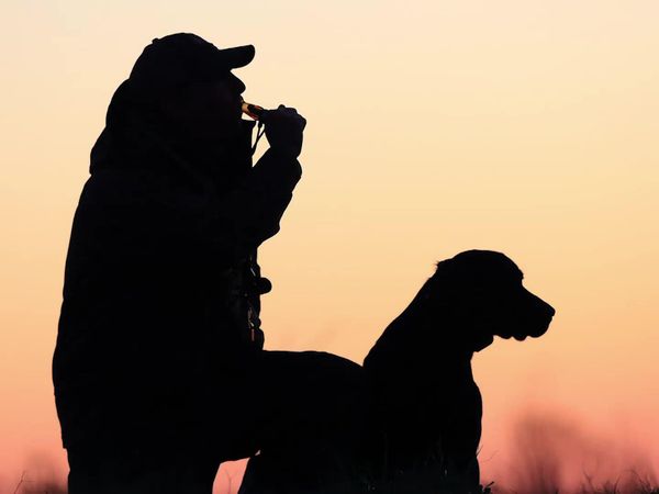 The Super Retriever Series Crown Championship - SRS Crown Championship 2