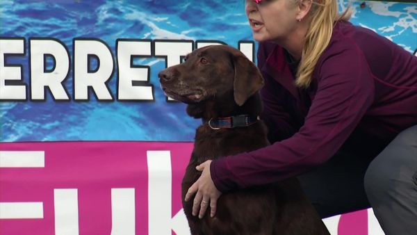 The Super Retriever Series Crown Championship - SRS Crown Championship 3
