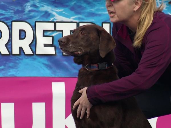 The Super Retriever Series Crown Championship - SRS Crown Championship 3