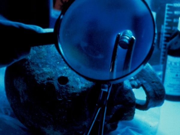 Les Nouveaux Detectives - Porté disparu