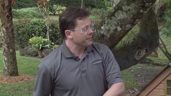 Designing Spaces - Green Lawn Care Tools