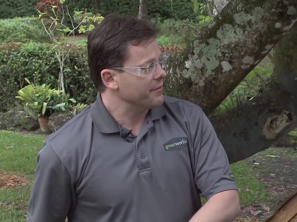 Designing Spaces - Green Lawn Care Tools