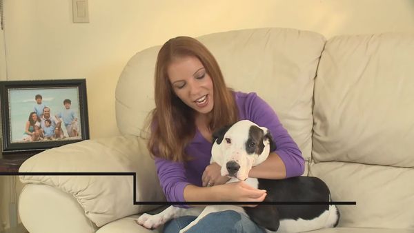 Designing Spaces - The Joy of Pets, Pet Parenting, and Beyond