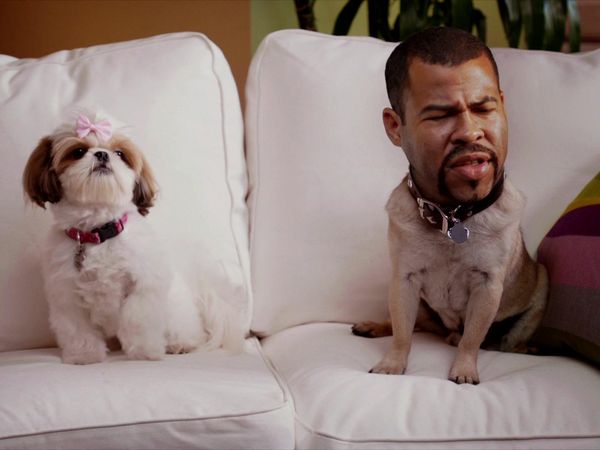 Key & Peele - Puppy Dog Ice-T