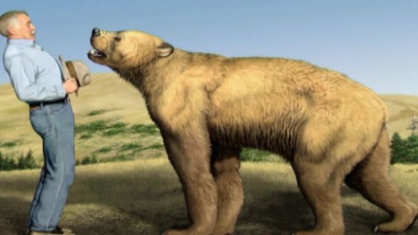 MonsterQuest - Ataque do Urso Gigante